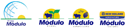 Grupo Módulo